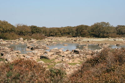 Scenic view of lake against clear sky