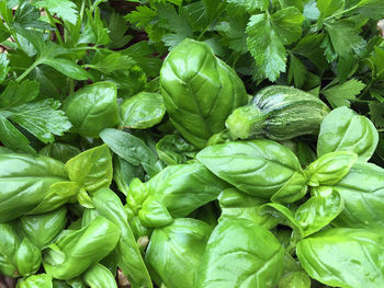 Full frame shot of green vegetables