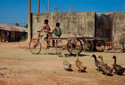 Boys riding cart on dirt road by birds against clear sky