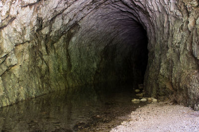 Close-up of old tree trunk in tunnel