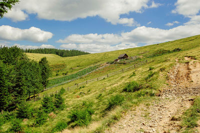 Scenic view of grassy field against sky