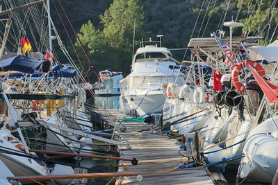 Sailboats moored at harbor
