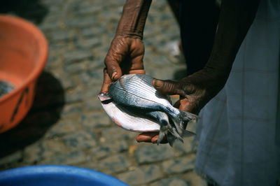 Midsection of man selling fish at street market