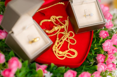 High angle view of red flowers in box