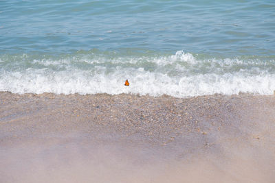 High angle view of surf on beach