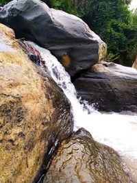 Scenic view of waterfall in forest