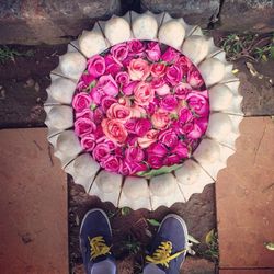 Low section of woman standing on pink flower