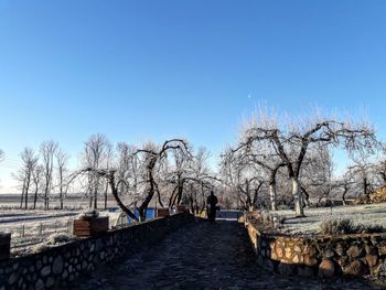 Footbridge amidst bare trees against clear blue sky