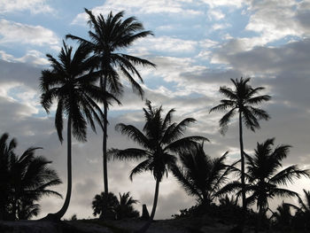 Silhouette palm trees against sky