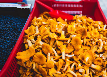 Close-up of mushrooms for sale