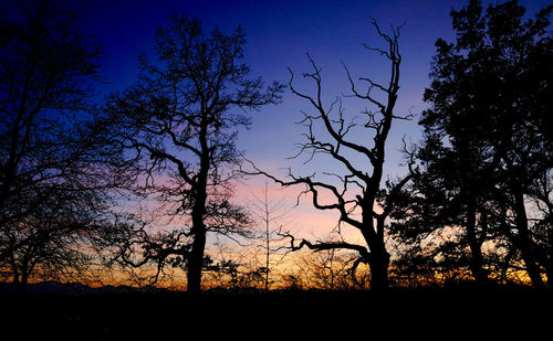 Silhouette of trees against sky at sunset