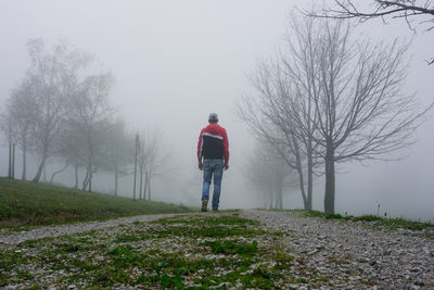 fog