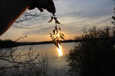 Close-up of silhouette hand by lake against sky during sunset