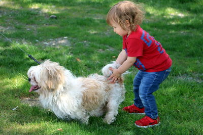 Cute little dog and a child playing together