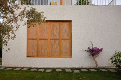 Plant placed on set of outdoor wooden window. plant has purple flowers and set against cement wall