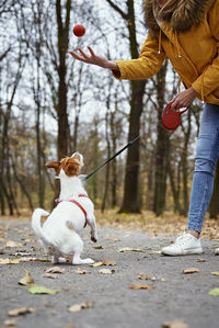 Woman with dog walk in autumn park