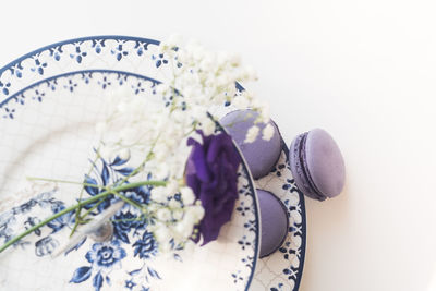 High angle view of white flower on table