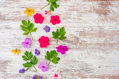 High angle view of purple flowering plant on table