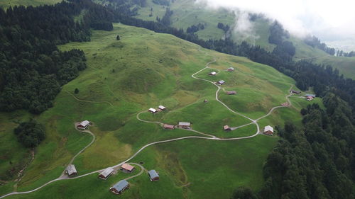 Aerial view of green landscape