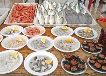 Street food fish market in bari, italy with sea urchin, octopus, shrimp, oysters, cuttlefish, squid