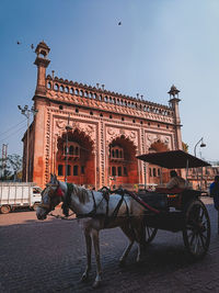 Side view of man riding horse against sky