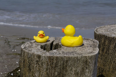 Close-up of yellow toys on wooden post