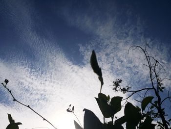 Low angle view of silhouette tree against sky