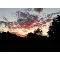 Silhouette of trees against cloudy sky