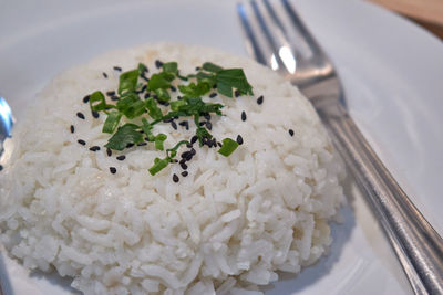 Rice serving on the white plate