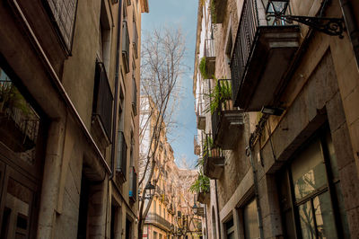 Low angle view of residential buildings