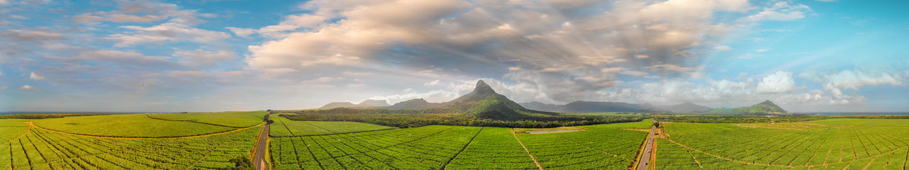 Panoramic view of agricultural field against sky