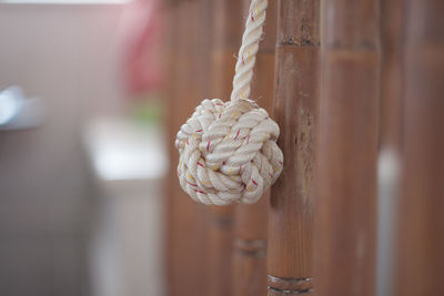 Close-up of knot on rope