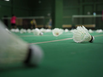 Close-up of shuttlecocks on court