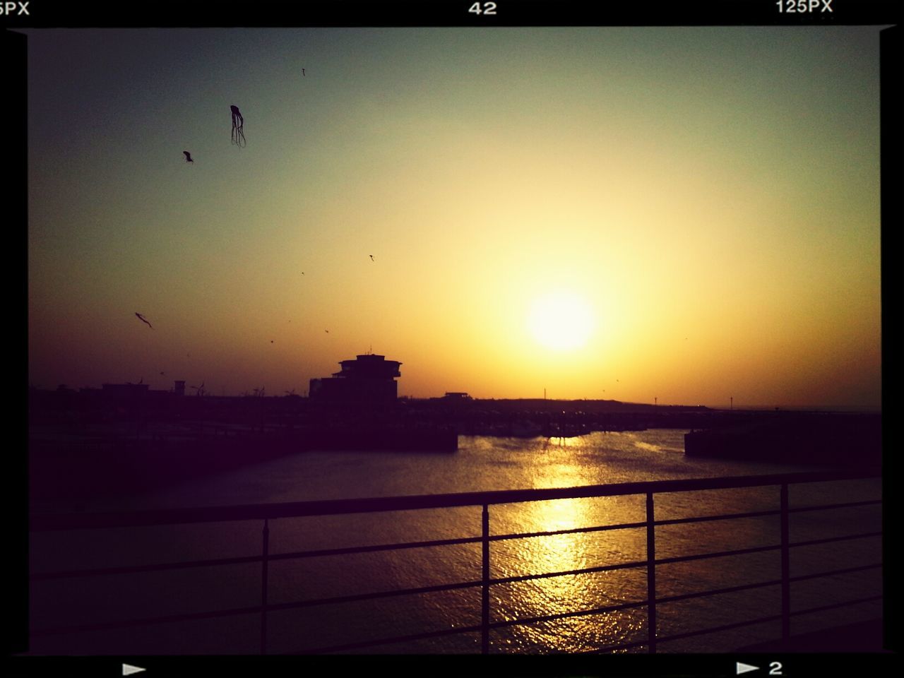 sunset, transfer print, sun, water, bird, silhouette, auto post production filter, sea, animal themes, orange color, sky, scenics, sunlight, beauty in nature, wildlife, railing, one animal, nature, tranquility, tranquil scene