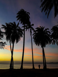 Silhouette palm trees at beach against sky during sunset