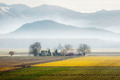 Scenic view of field against mountains