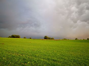 Scenic view of agricultural field against sky