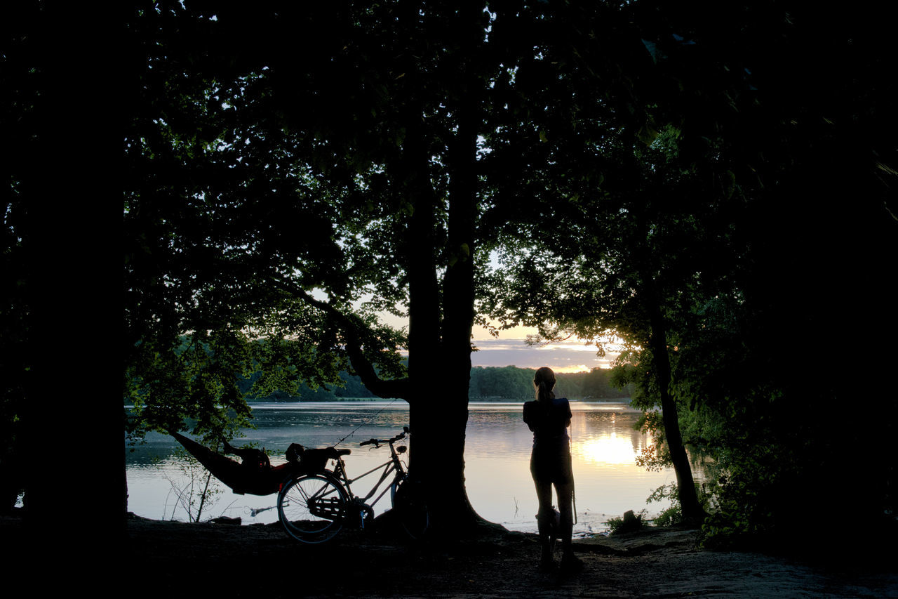 tree, plant, night, darkness, light, nature, silhouette, evening, full length, water, adult, men, beauty in nature, lifestyles, leisure activity, one person, tranquility, women, rear view, outdoors, land, beach, reflection, standing, seat, tranquil scene, growth, sitting