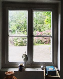 Trees seen through window at home