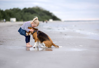 Girl and beagle on shore at beach