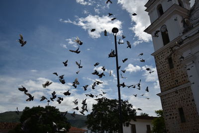 Low angle view of birds flying in sky