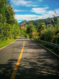 Empty road along plants and trees against sky