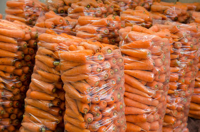 Bags with young fresh carrot prepared for sale. freshly harvested carrots. harvesting organic 