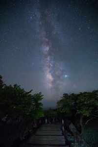 Scenic view of trees at night