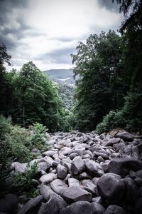 View of rocks in forest against sky