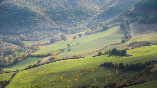 Aerial view of landscape