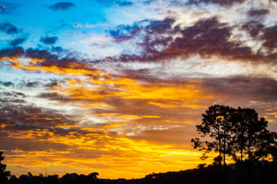 Low angle view of silhouette trees against dramatic sky