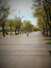 People walking on footpath