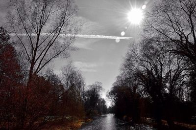 Empty road along trees