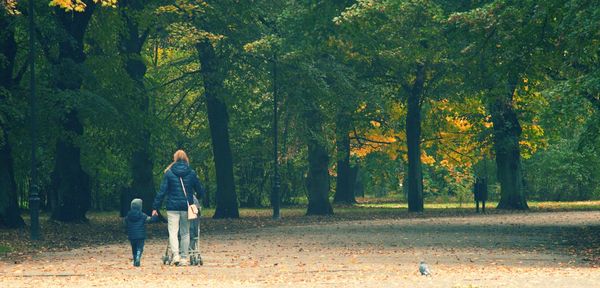 Full length of man on road amidst trees in forest